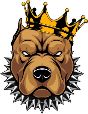 Bir köpek olarak taç başkanı