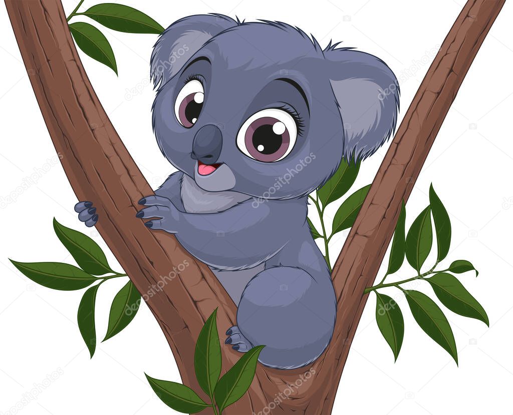 Vector illustration, funny little koala bear baby smiling on a white background