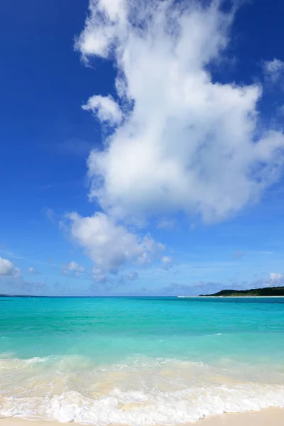 Sommaren på stranden — Stockfoto