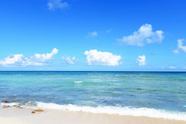 Okinawa güzel bir plaj