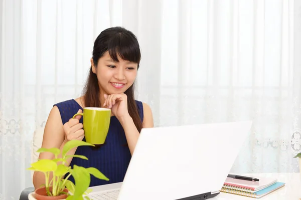 Mujer que disfruta de la computadora portátil —  Fotos de Stock