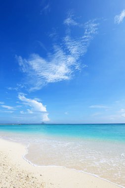 Okinawa 'da güzel bir plajın resmi.