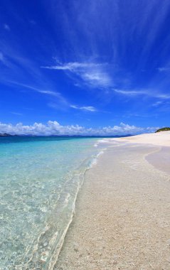 Okinawa 'da güzel bir plajın resmi.