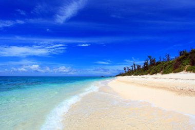 Okinawa 'da güzel bir plajın resmi.