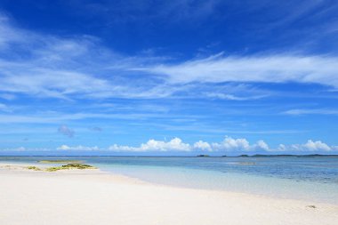 Okinawa 'da güzel bir plajın resmi.