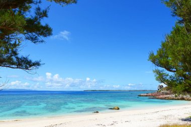 Okinawa 'da güzel bir plajın resmi.