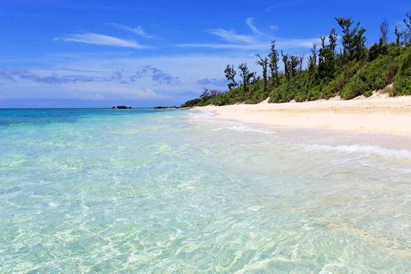Фото Красивого Пляжа Окинаве — стоковое фото
