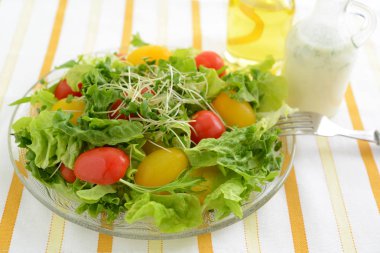 Sağlıklı ve lezzetli taze sebze salatası