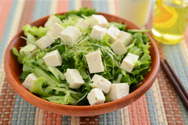 Insalata Verdure Fresche Sana Deliziosa — Foto Stock