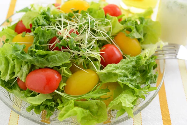 Ensalada Verduras Frescas Saludables Deliciosas —  Fotos de Stock