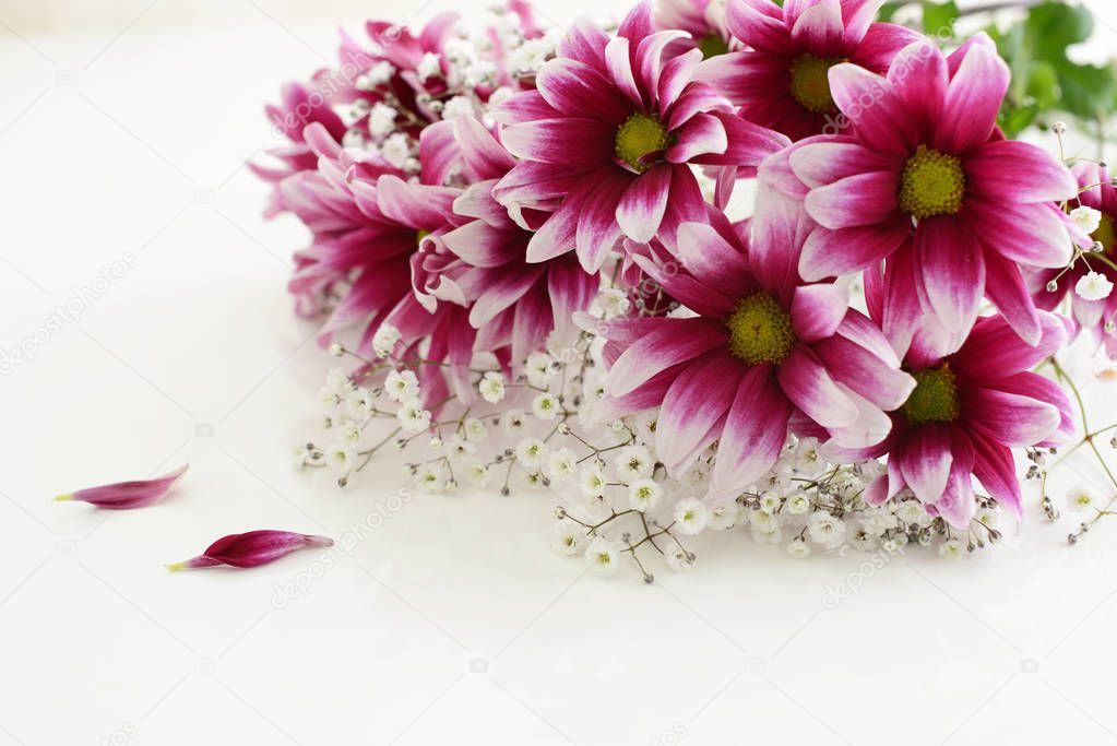Beautiful and cute full bloom flowers