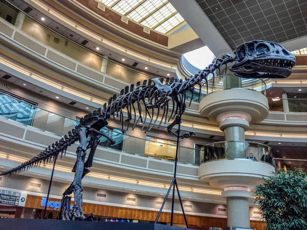 2014 年 3 月 6 日 - アトランタ、ジョージア州、アメリカ、アトランタ、Ga、米国で 2014 年 3 月 6 日にアトランタ国際空港内の恐竜の骨格 — ストック写真