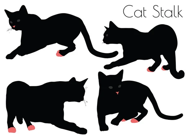 Silhouette di gatto in Stalk Pose — Vettoriale Stock