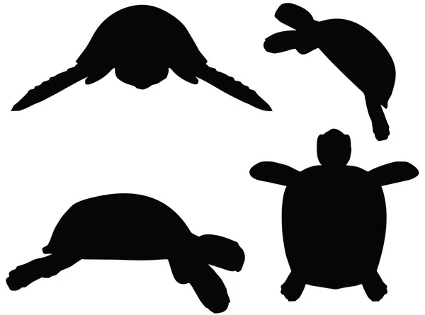 Illustration of turtle, tortoise silhouette — Stock Vector