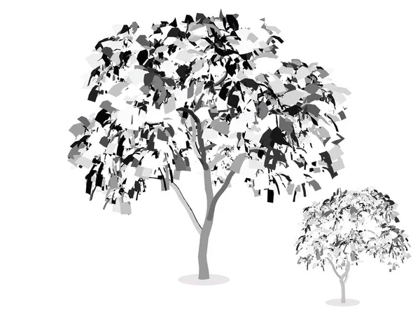 Ilustración de árbol, silueta de planta Vectores De Stock Sin Royalties Gratis