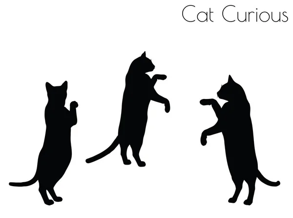 Cat silhouette in Curious Pose Royalty Free Stock Vectors