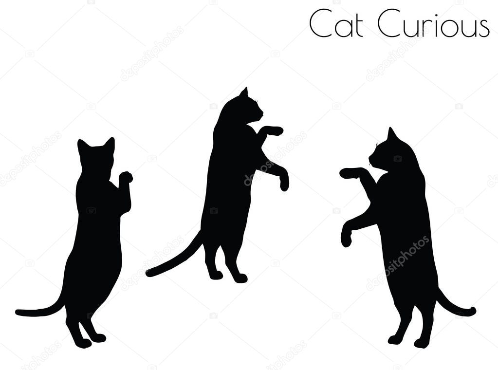 cat silhouette in Curious Pose