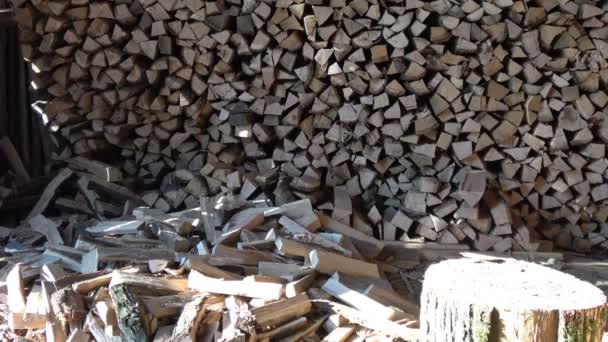 Dumping wood on the pile. — Stock Video