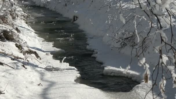 Un pequeño arroyo rápido en el lecho congelado del río. El hielo está cubierto de nieve. Bonito día soleado. Nieve cae de los árboles . — Vídeos de Stock