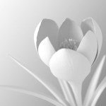 White Flower Blooming On Gradient Background