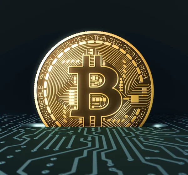 Att sätta Bitcoin i springan på blå kretskortet — Stockfoto
