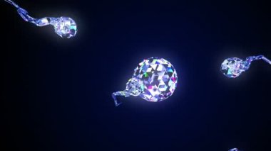 Elmas Spermatozoonlar ve Ovules