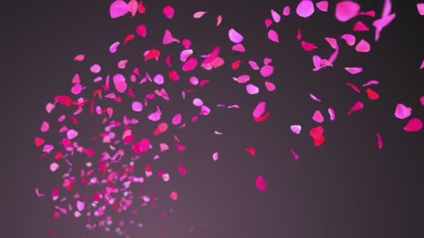 Flying Rose Petals On Purple Background (en inglés). Lazo sin costura . — Vídeo de stock