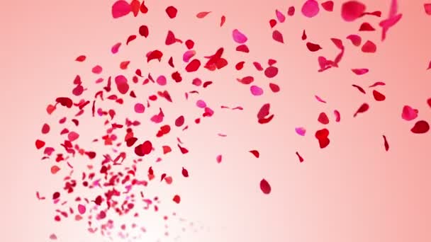 Fliegende Rosenblätter auf rosa Hintergrund. Nahtlose Loopings. — Stockvideo