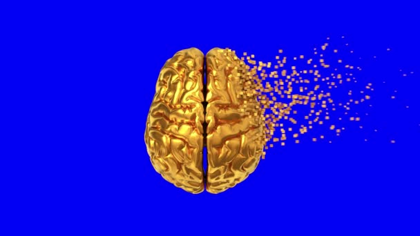 4K. Zerfall des Goldenen Gehirns auf blauem Bildschirm. — Stockvideo