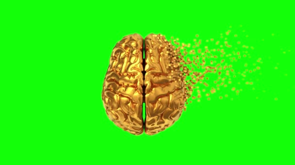 4K. Upplösning av Golden Brain på grön skärm. — Stockvideo