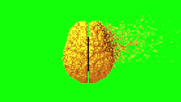 4K. Desintegración del cerebro digital dorado. Pantalla verde . — Vídeos de Stock