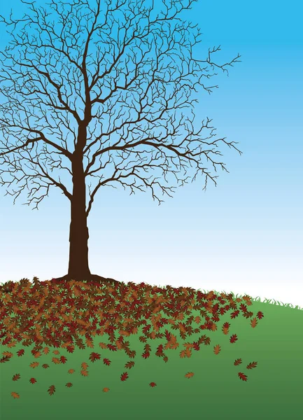 Árbol con hojas caídas — Archivo Imágenes Vectoriales