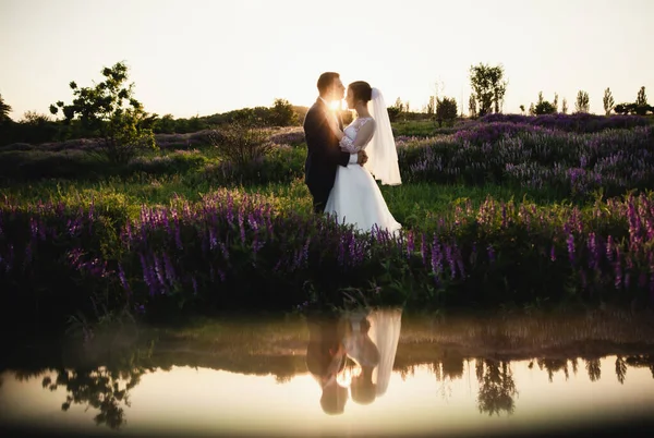 Nygifta Står Mitt Ett Blommande Fält Vid Solnedgången Brudgummen Håller — Stockfoto