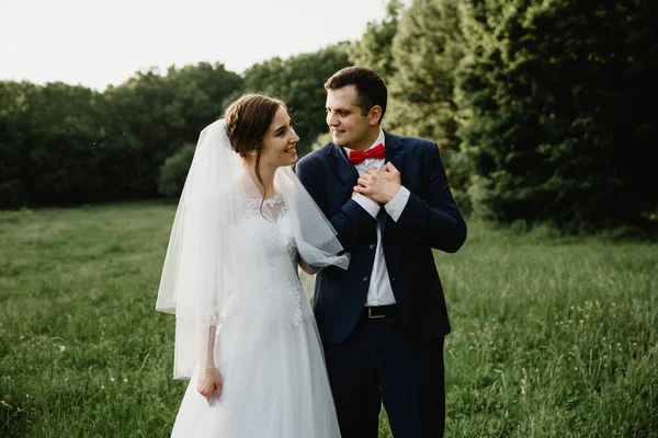 Νύφη Και Γαμπρός Αγκαλιάζονται Στο Ηλιοβασιλέμα Ευτυχισμένη Νύφη Και Γαμπρός — Φωτογραφία Αρχείου