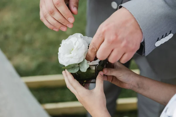 Yüzükler için bir kutu, yüzük için bir kutuda güzel alyanslar, damat gelinine alyansı takıyor.