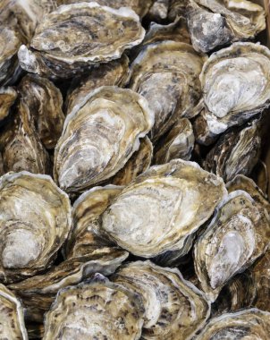 Bir avuç istiridyeye yaklaş.