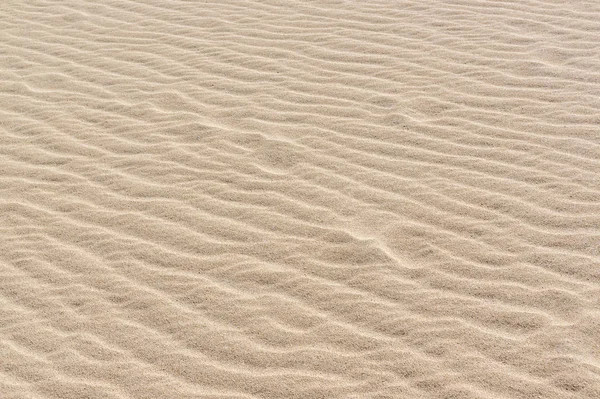 Zavřít Vrásčitém Povrchu Písečné Duny — Stock fotografie