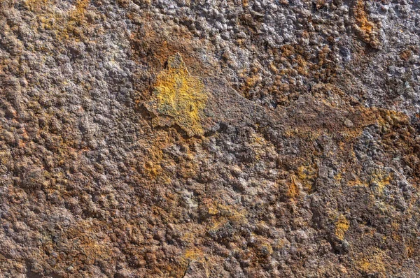 Close Rusty Metal Surface — Stock Photo, Image