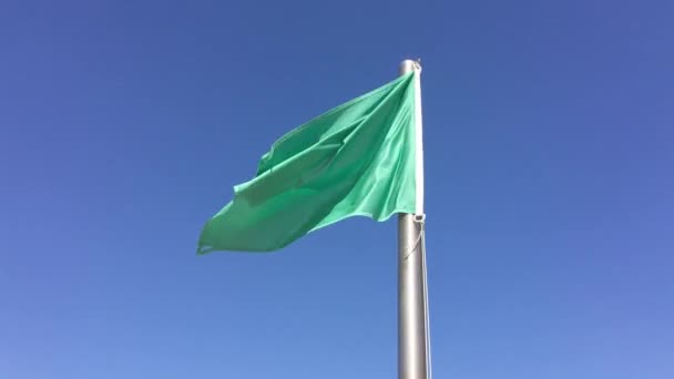 Kleine Groene Vlag Zwaaiend Tegen Blauwe Lucht — Stockvideo