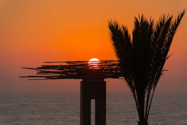 Beautiful evening sunset with nest monument and palm trees on Mediterranean sea