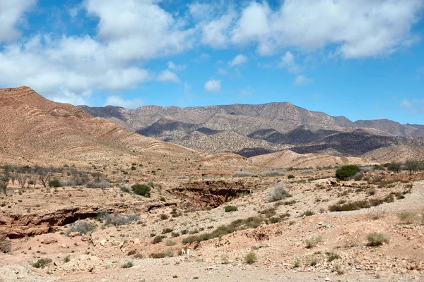Paesaggio desertico, Montagne dell'Atlante, Marocco — Foto Stock