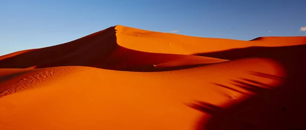 Піщані дюни в пустелі Сахара, Merzouga, Марокко - Панорама — стокове фото