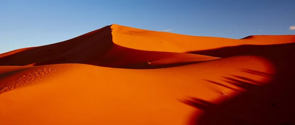 Dunas de areia no deserto do Saara, Merzouga, Marrocos - Panorama — Fotografia de Stock