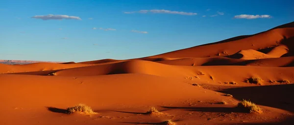 Αμμοθίνες στην έρημο της Σαχάρας, Μερζούγκα, Μαρόκο - Πανόραμα — Φωτογραφία Αρχείου