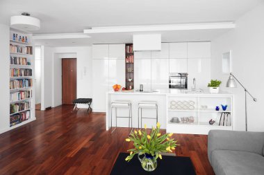 Modern mutfak ve oturma odası, İskandinav iç mekanı.