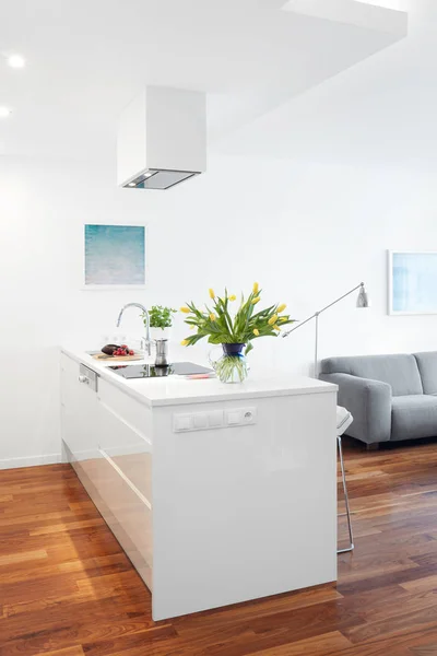 Moderne Küche und Wohnzimmer, skandinavisches Interieur — Stockfoto