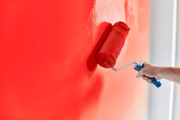 Boya silindirli erkek el boyası duvar. Daire boyama, kırmızı boyayla yenileme.