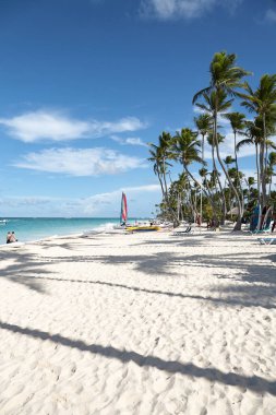Beach Punta Cana, tatil. Dominik Cumhuriyeti.