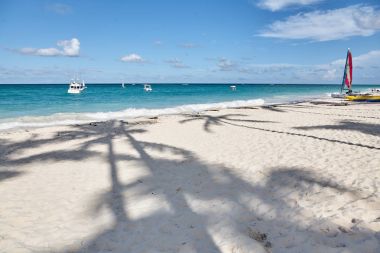 Bir palmiye ağacının gölgesi. Beach Punta Cana, tatil. Dominik Cumhuriyeti.