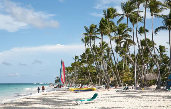 Beach Punta Cana, holiday resort. Dominican Republic.